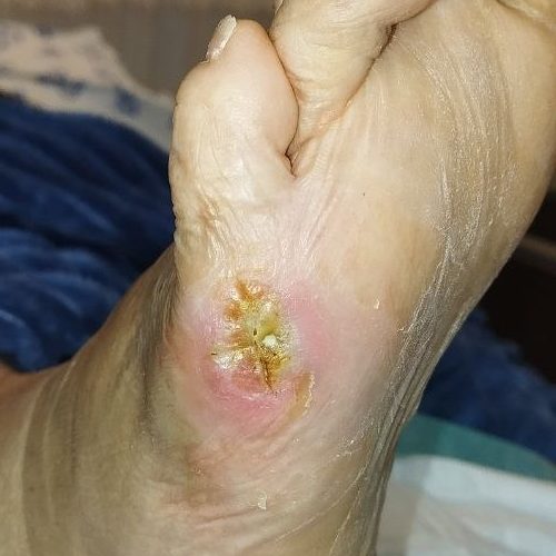 photo_2026-02-03_14-51-57