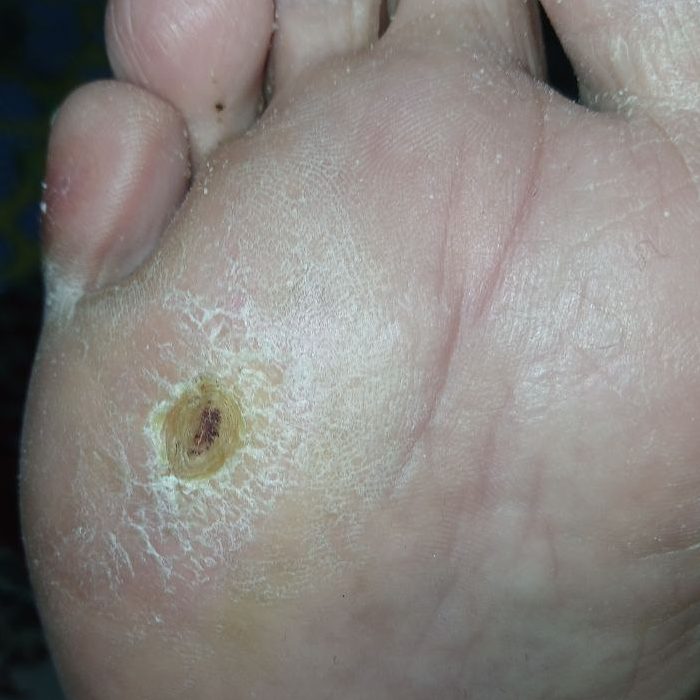 photo_2026-02-12_16-52-19